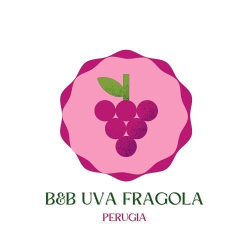 B&B Uva Fragola 佩鲁贾 外观 照片